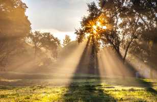 Mellow Light-4867.jpg Mellow Light-4867.jpg